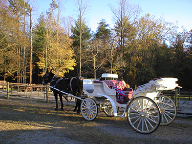 carriage rides