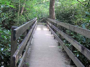 mt leconte bridge