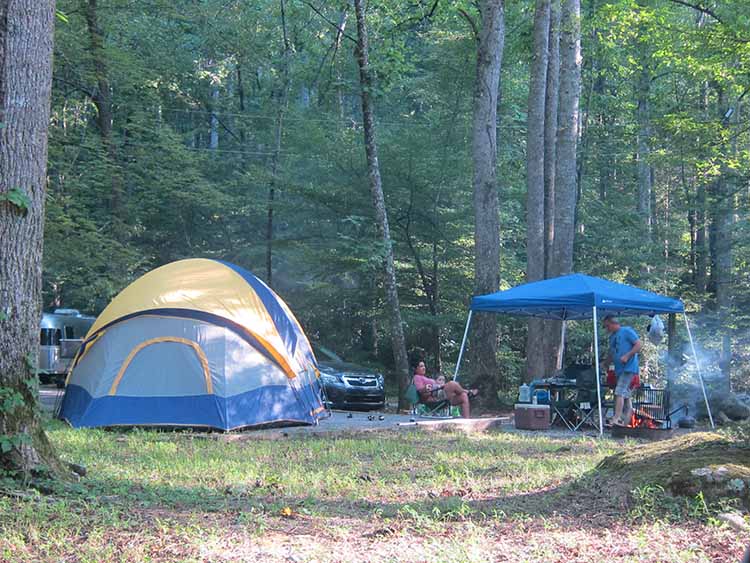 elkmont campsite