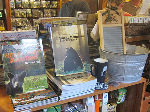 smoky mountain bookstore