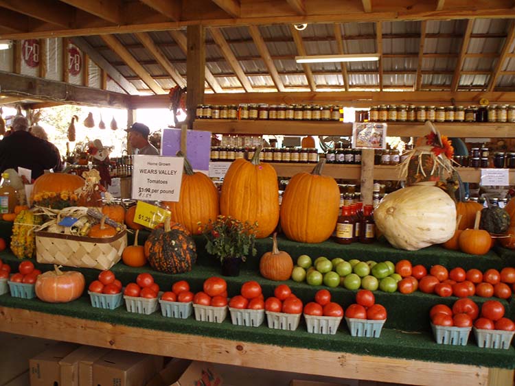 farmers market produce