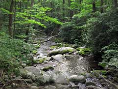 river runs through roaring fork nature trail