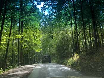 roaring fork motor nature trail
